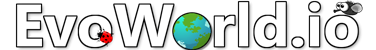 EvoWorld io